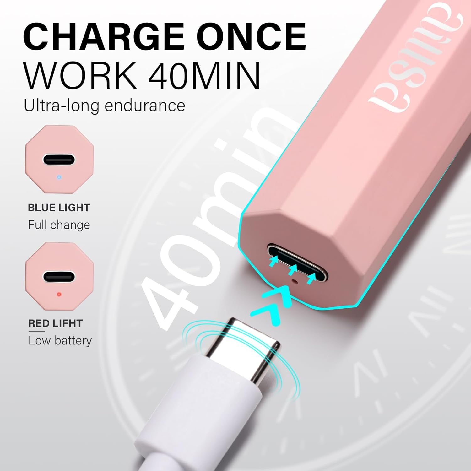 Handheld UV Light 