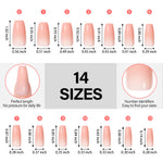 12 Mixed Colors Press-On Nails 