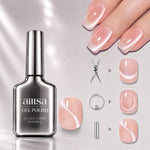 AILLSA Soft Velvet Cat Eye Gel Polish Set with 3 Magnetic Tools 