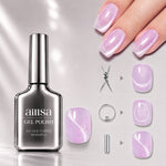 AILLSA Soft Velvet Cat Eye Gel Polish Set with 3 Magnetic Tools 