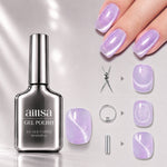 AILLSA Soft Velvet Cat Eye Gel Polish Set with 3 Magnetic Tools 