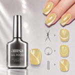 AILLSA Soft Velvet Cat Eye Gel Polish Set with 3 Magnetic Tools 