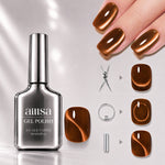 AILLSA Soft Velvet Cat Eye Gel Polish Set with 3 Magnetic Tools 