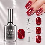 AILLSA Soft Velvet Cat Eye Gel Polish Set with 3 Magnetic Tools 