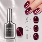 AILLSA Soft Velvet Cat Eye Gel Polish Set with 3 Magnetic Tools 
