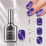 AILLSA Soft Velvet Cat Eye Gel Polish Set with 3 Magnetic Tools 