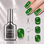 AILLSA Soft Velvet Cat Eye Gel Polish Set with 3 Magnetic Tools 