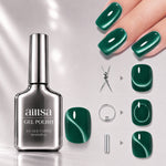 AILLSA Soft Velvet Cat Eye Gel Polish Set with 3 Magnetic Tools 